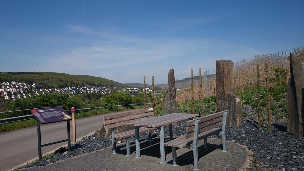 Gaestehaus Am Schlossberg Bernkastel-Kues Εξωτερικό φωτογραφία